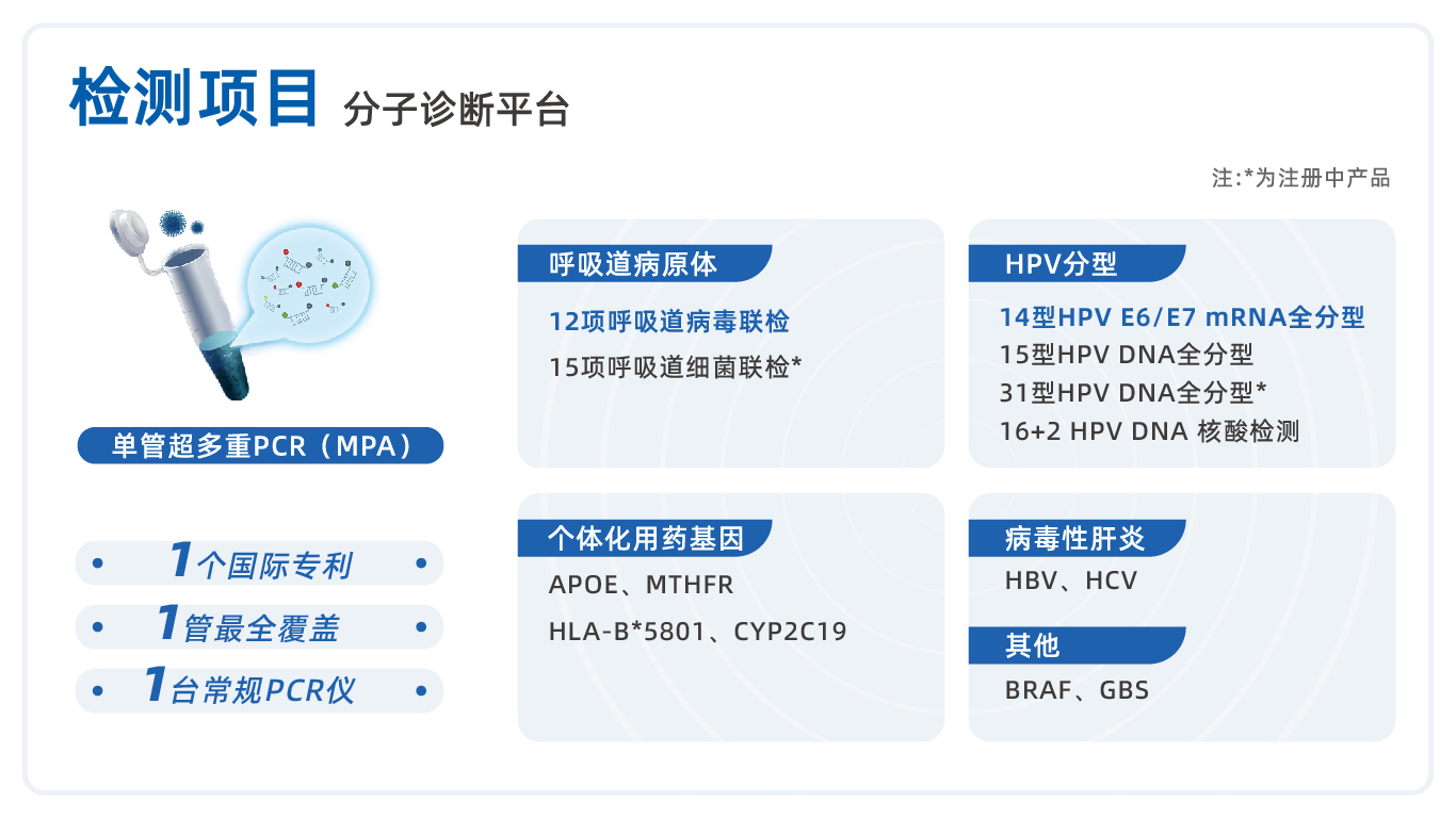 分子相关产品图.jpg